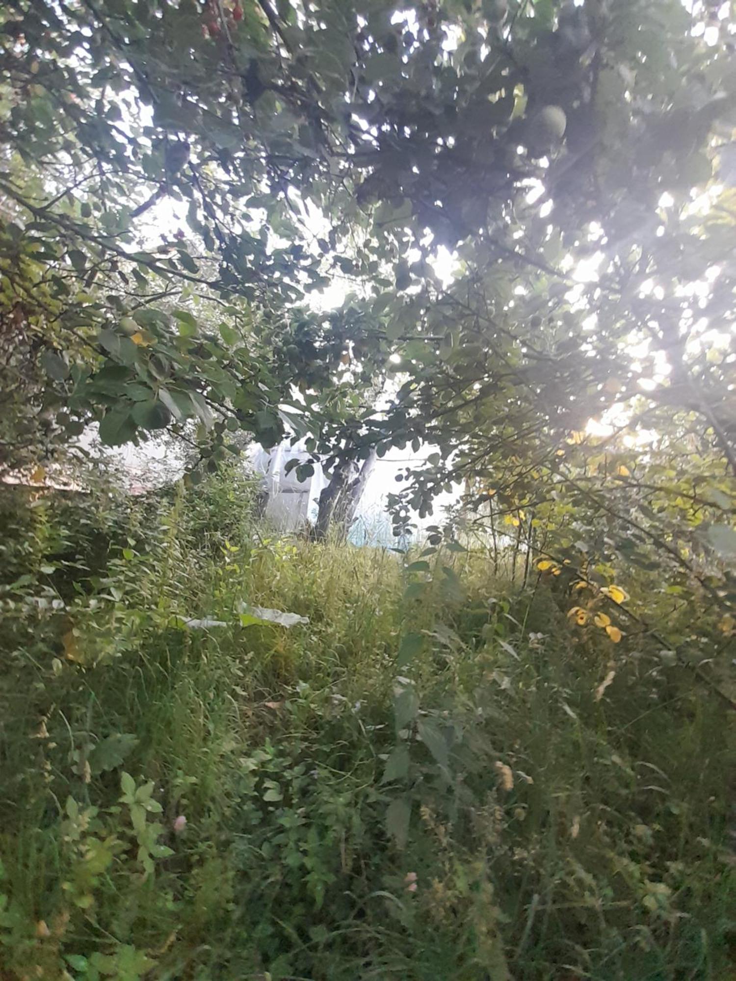 Waterfall In The Yard Каракол Экстерьер фото